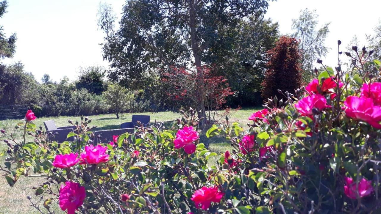 Auberge Aux Marais Montmartin-en-Graignes Ngoại thất bức ảnh